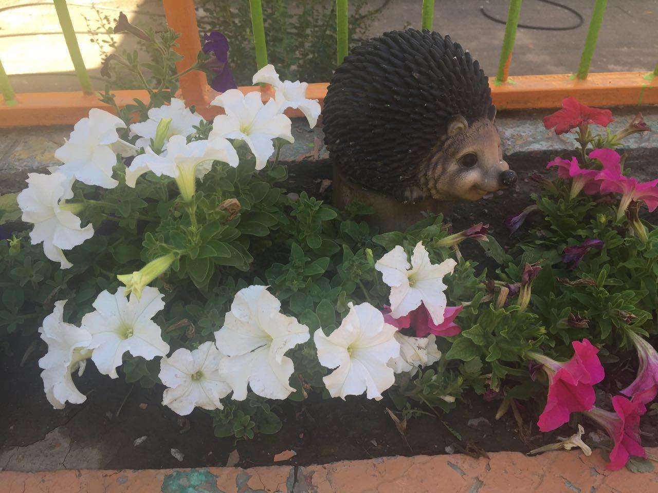 Фотогалерея