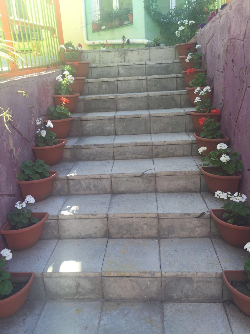 Фотогалерея