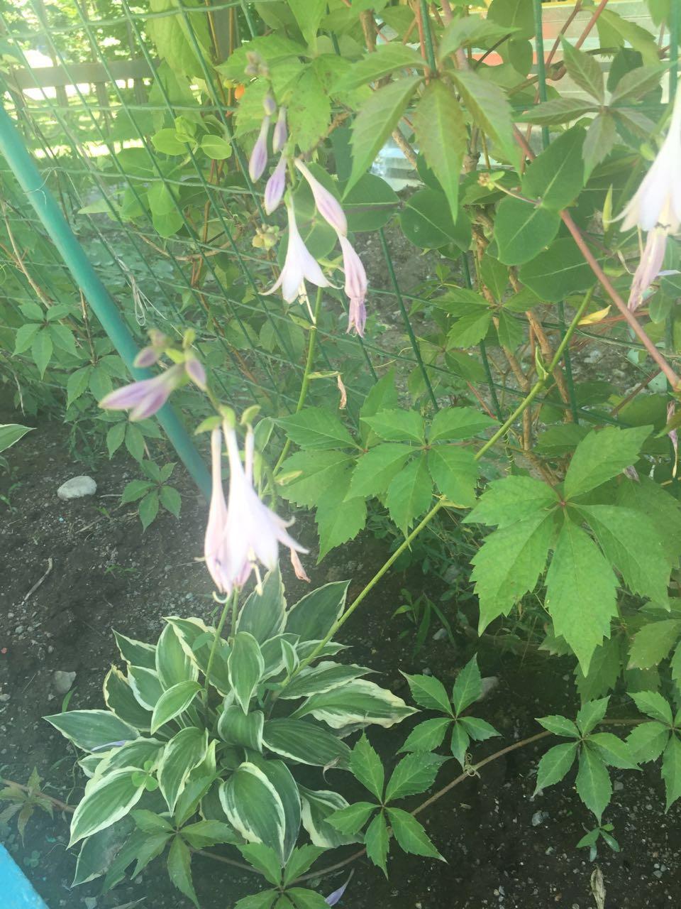 Фотогалерея